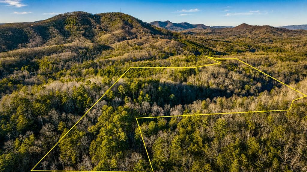 178 Arp Road, Mineral Bluff GA 30559 - Photo
