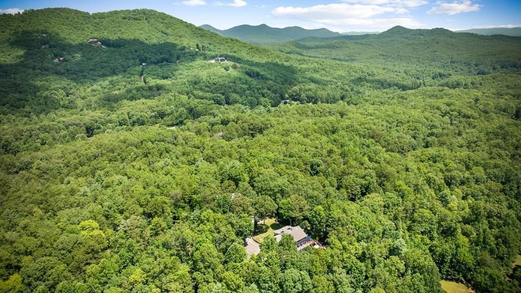 178 Arp Road, Mineral Bluff GA 30559 - Photo
