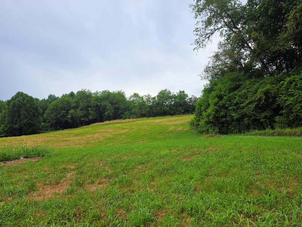 2490 New Hope Road, Morganton GA 30560 - Photo