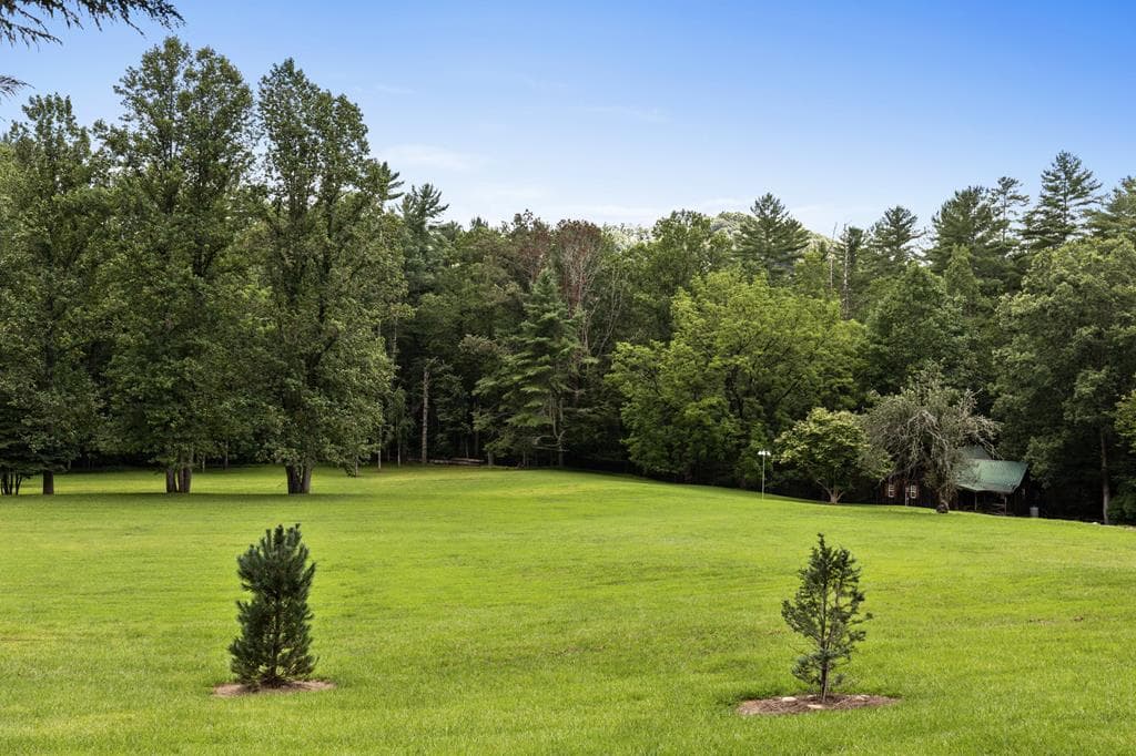 167 Halls Hidden Cove, Suches GA 30572 - Photo