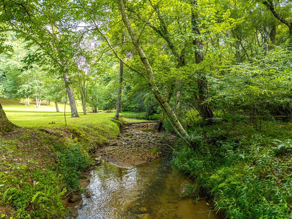 1347 Ivy Log Drive, Blairsville GA 30512 - Photo
