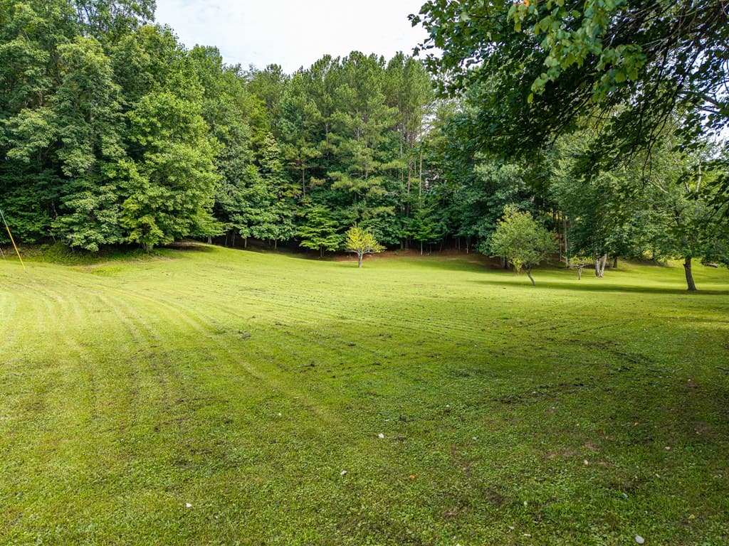 1347 Ivy Log Drive, Blairsville GA 30512 - Photo