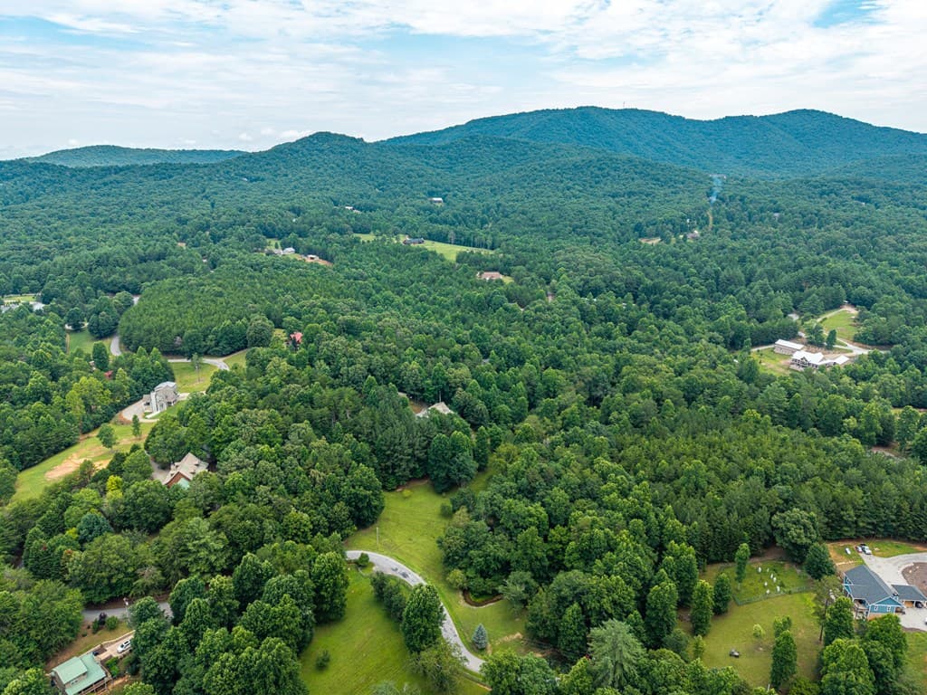 1347 Ivy Log Drive, Blairsville GA 30512 - Photo
