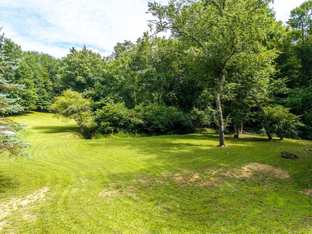1347 Ivy Log Drive, Blairsville GA 30512 - Photo