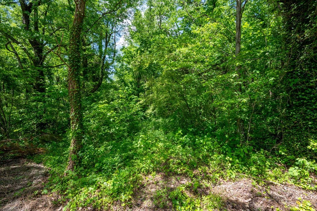 2471 Highway 52, Chatsworth GA 30705 - Photo
