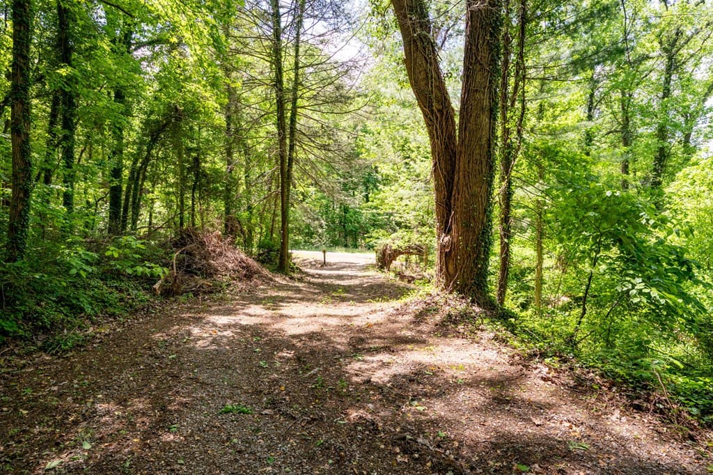 2471 Highway 52, Chatsworth GA 30705 - Photo