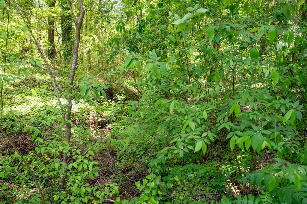 2471 Highway 52, Chatsworth GA 30705 - Photo