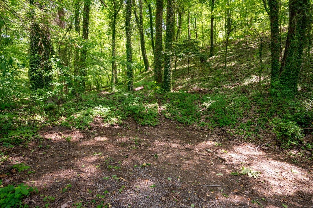 2471 Highway 52, Chatsworth GA 30705 - Photo