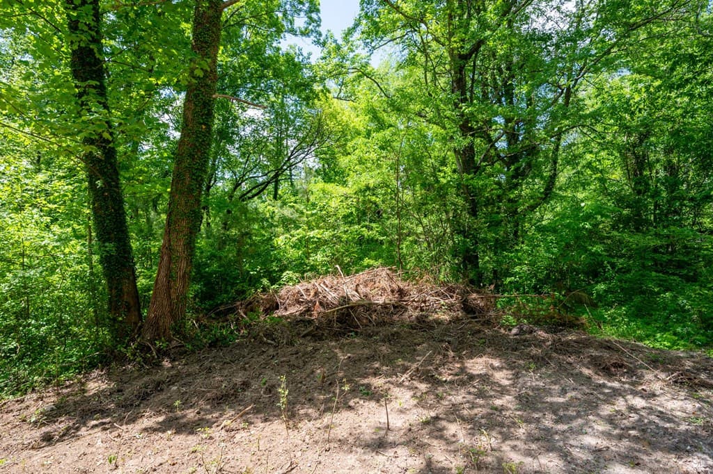 2471 Highway 52, Chatsworth GA 30705 - Photo