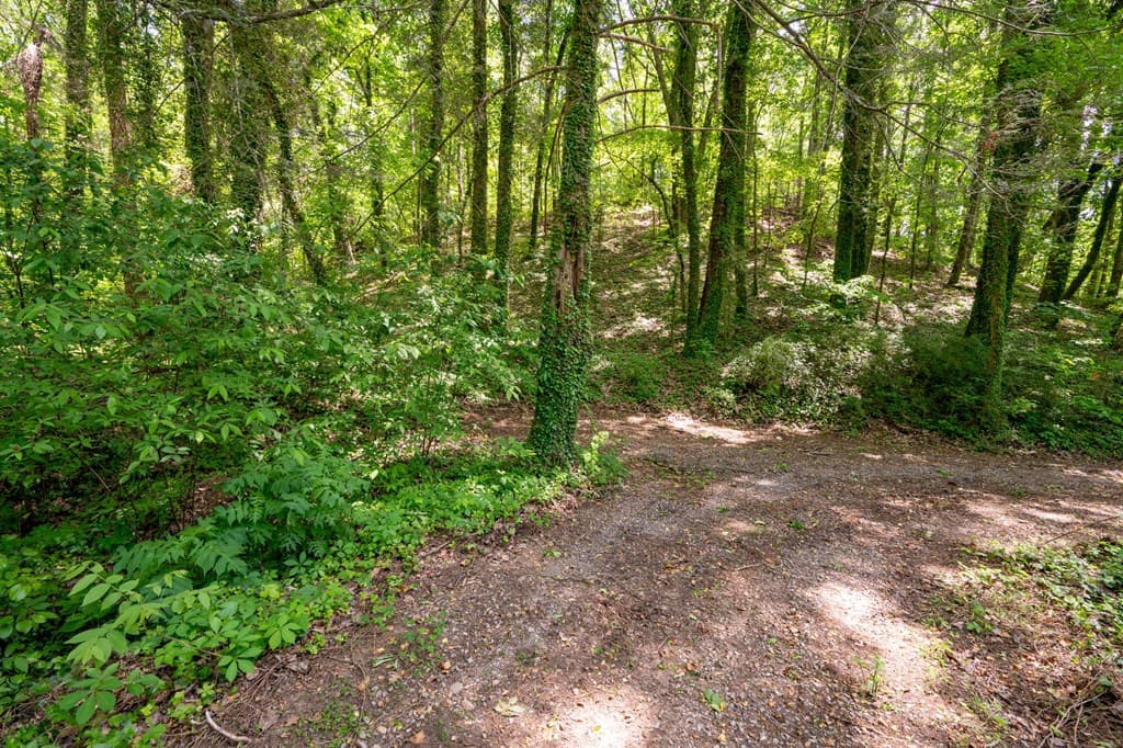 2471 Highway 52, Chatsworth GA 30705 - Photo