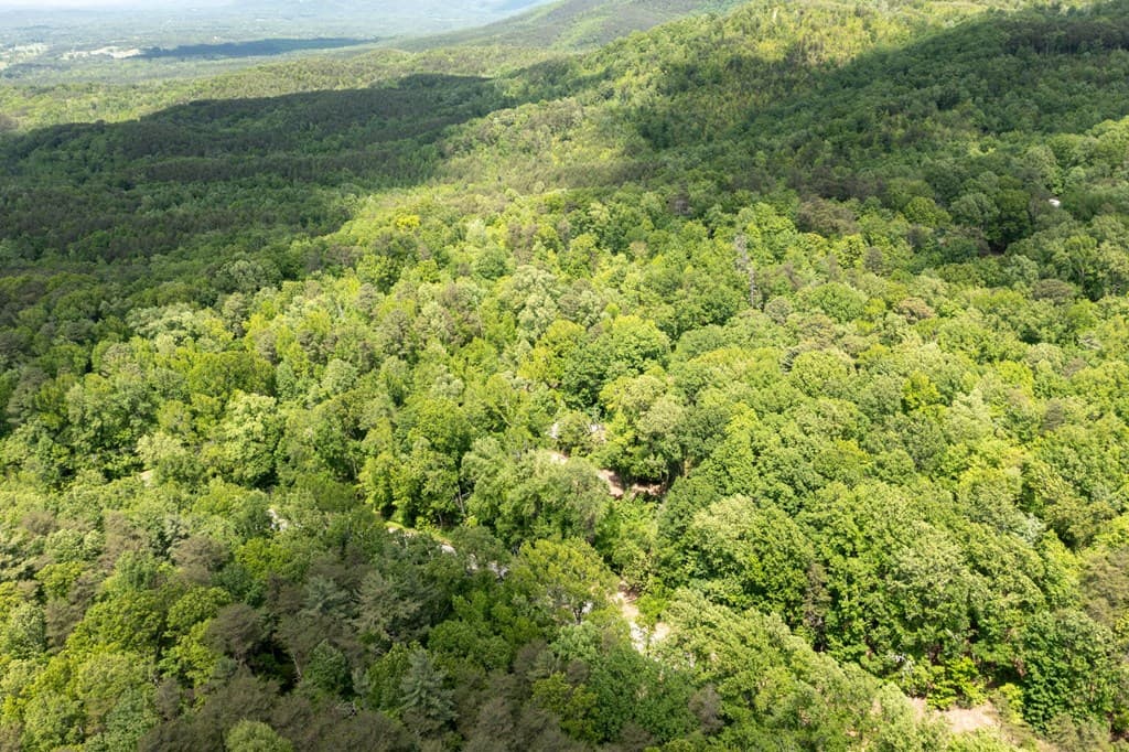 2471 Highway 52, Chatsworth GA 30705 - Photo