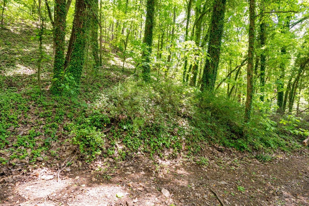 2471 Highway 52, Chatsworth GA 30705 - Photo