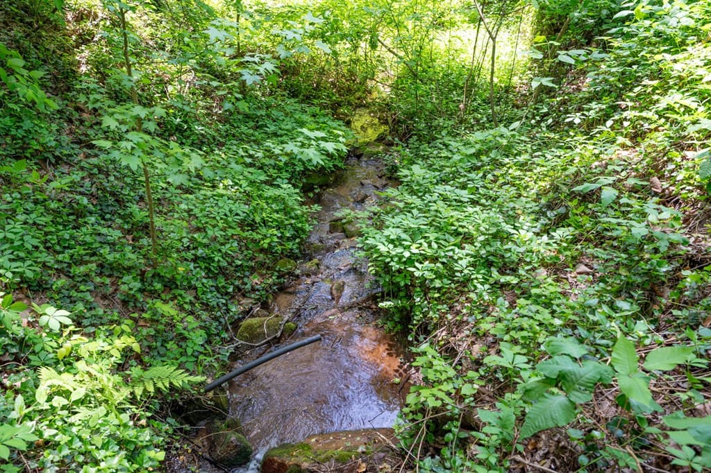 2471 Highway 52, Chatsworth GA 30705 - Photo