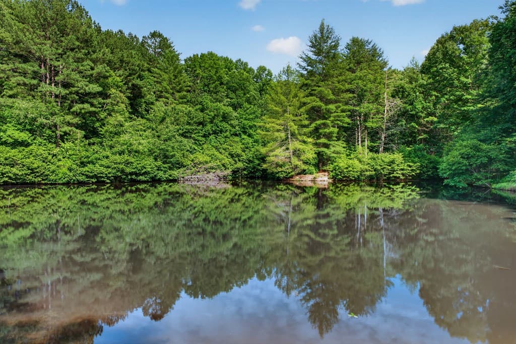 24 Twin Lakes Drive, Blue Ridge GA 30513 - Photo