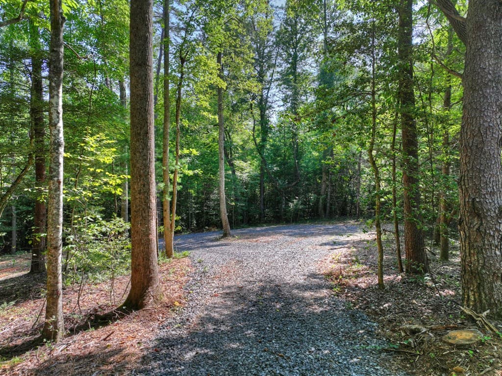 2.64 acr Grace Drive, Blue Ridge GA 30513 - Photo