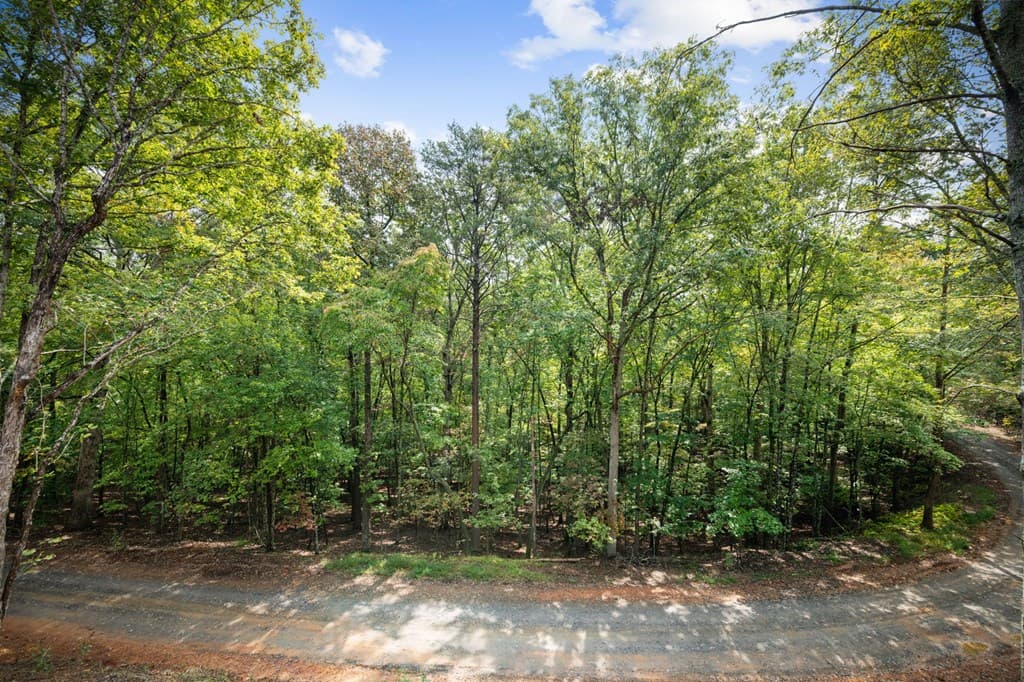 164 Brook Lane, Mineral Bluff GA 30559 - Photo