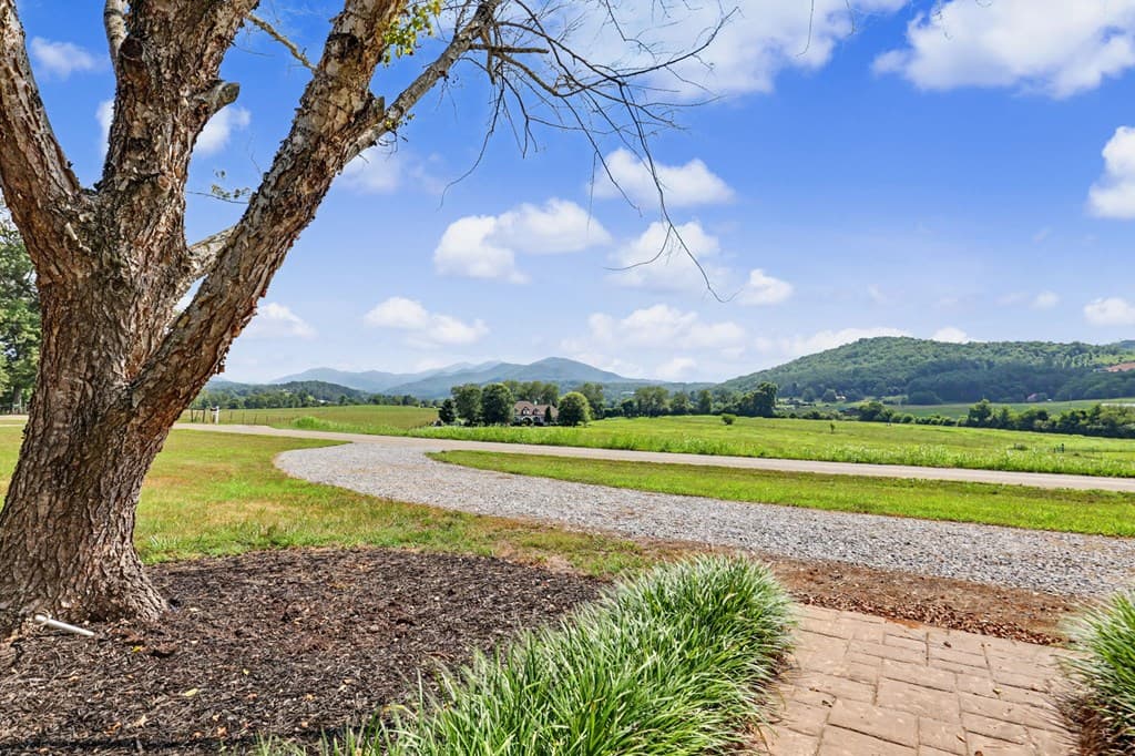 467 Reese Road, Brasstown NC 28902 - Photo