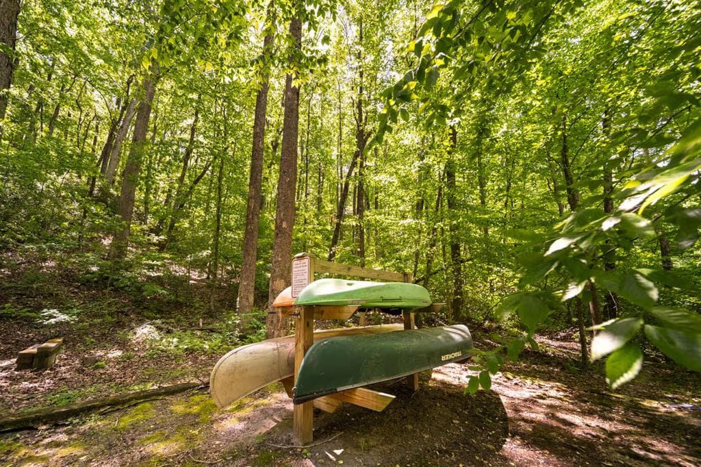469 North Lake Drive, Ellijay GA 30536 - Photo