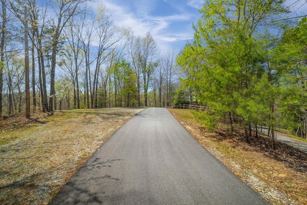 207 Arrow Way, Mineral Bluff GA 30559 - Photo