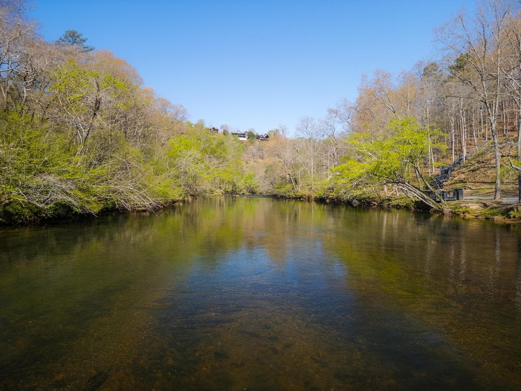 207 Arrow Way, Mineral Bluff GA 30559 - Photo