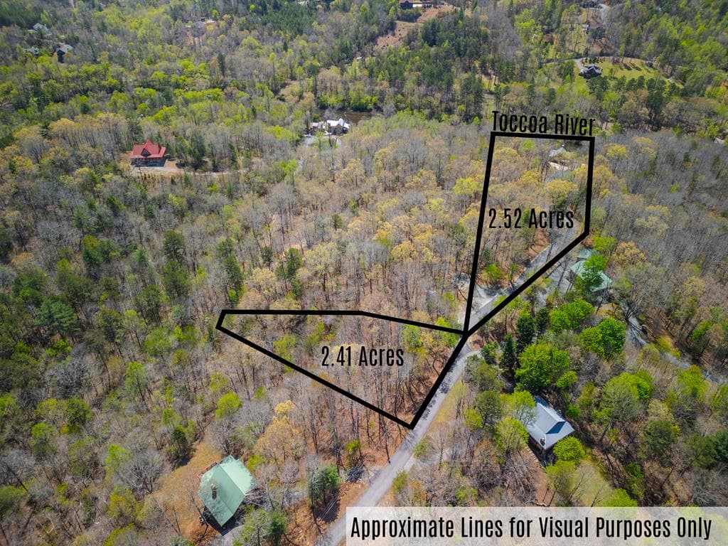 207 Arrow Way, Mineral Bluff GA 30559 - Photo