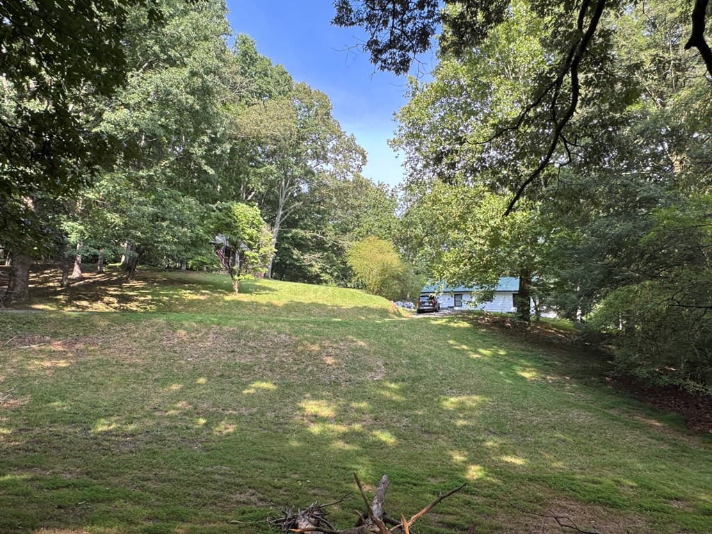 1593 Blackberry Mountain Road, Ellijay GA 30536 - Photo