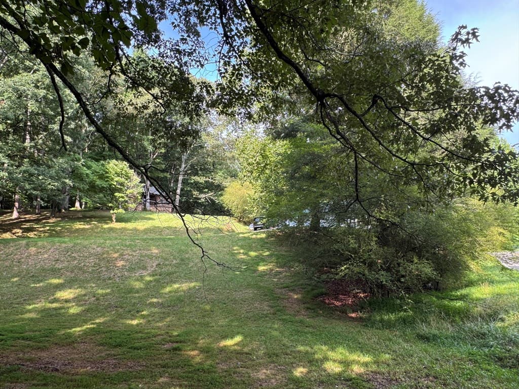 1593 Blackberry Mountain Road, Ellijay GA 30536 - Photo