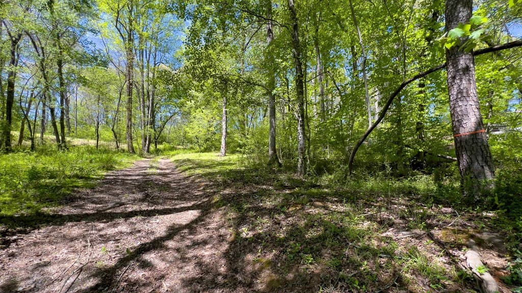 Lot 1 Myers Chapel Road, Hayesville NC 28904 - Photo
