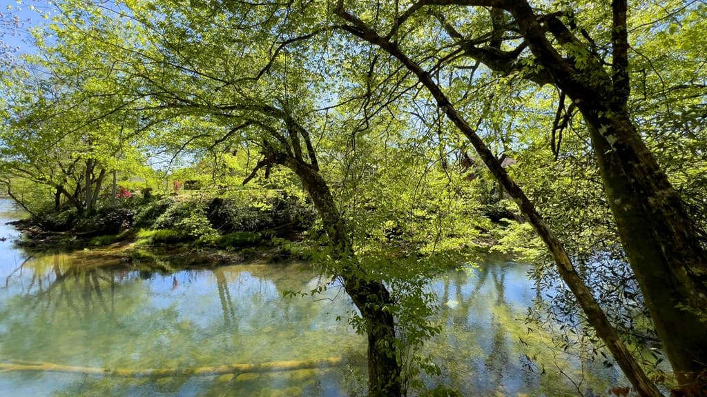Lot 1 Myers Chapel Road, Hayesville NC 28904 - Photo