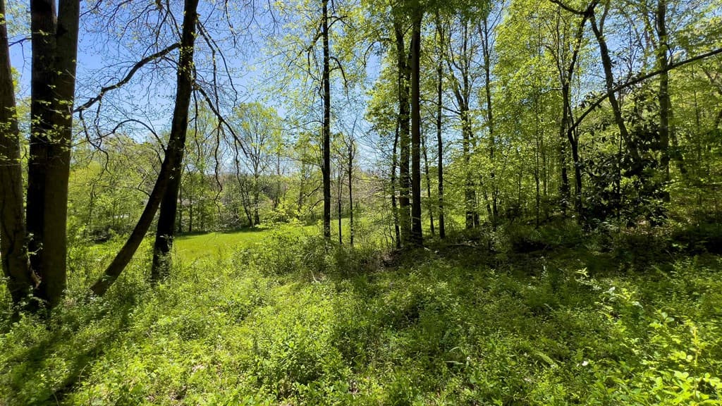 Lot 1 Myers Chapel Road, Hayesville NC 28904 - Photo