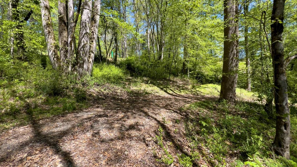 Lot 1 Myers Chapel Road, Hayesville NC 28904 - Photo