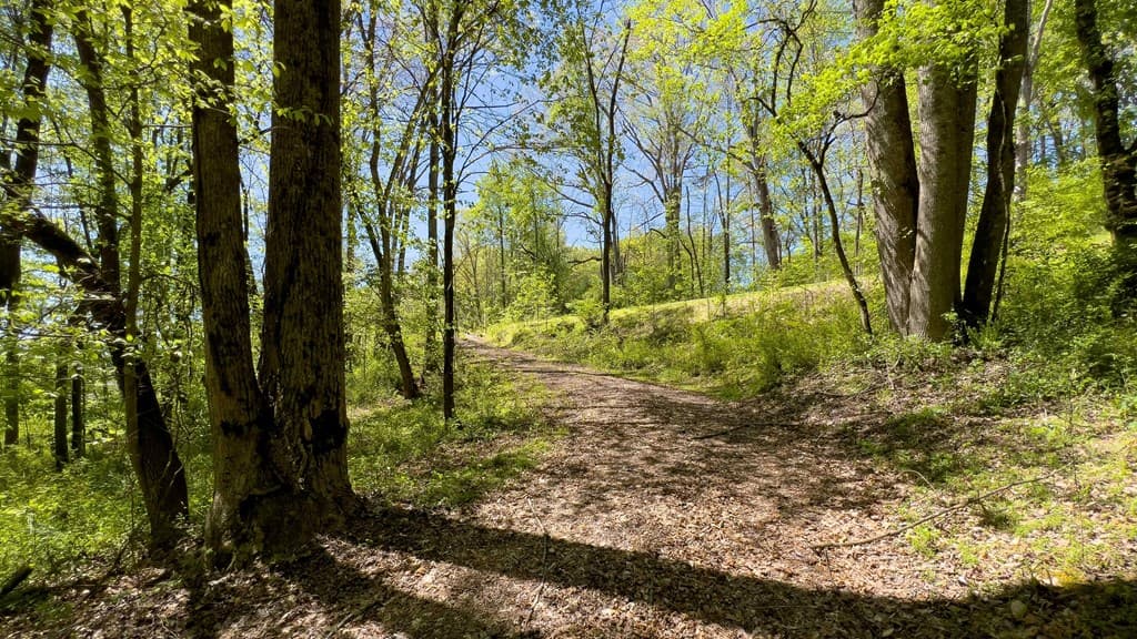 Lot 1 Myers Chapel Road, Hayesville NC 28904 - Photo