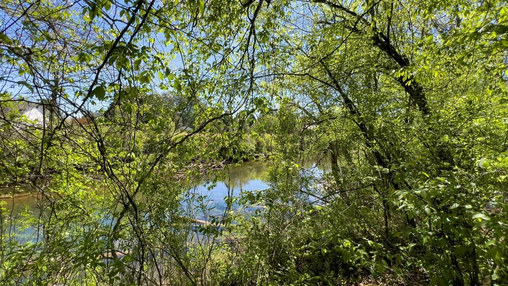 Lot 1 Myers Chapel Road, Hayesville NC 28904 - Photo