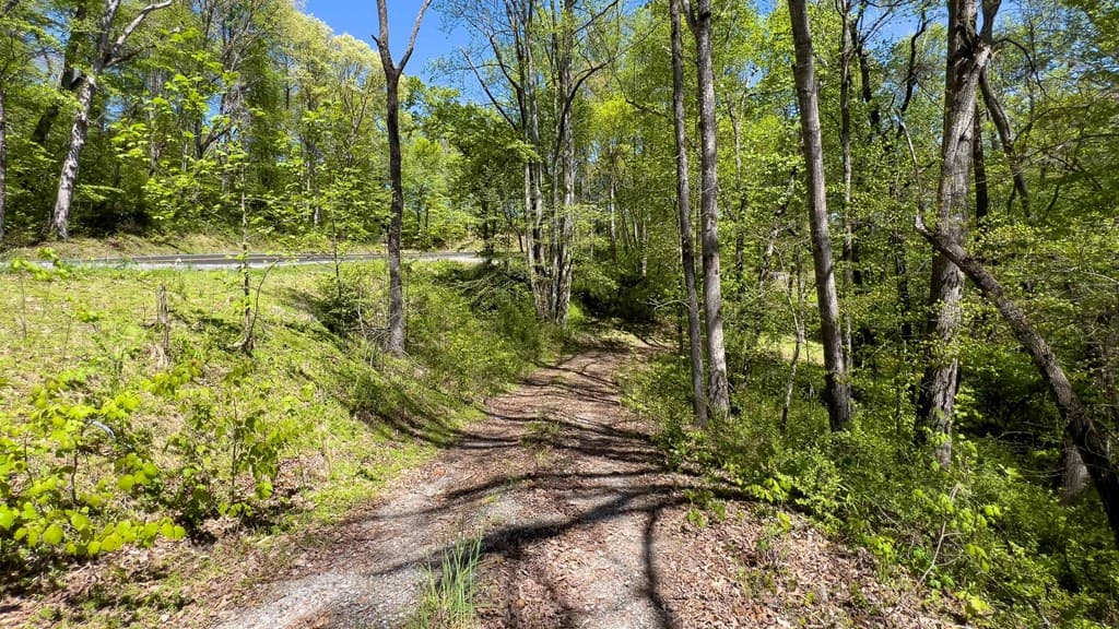 Lot 1 Myers Chapel Road, Hayesville NC 28904 - Photo