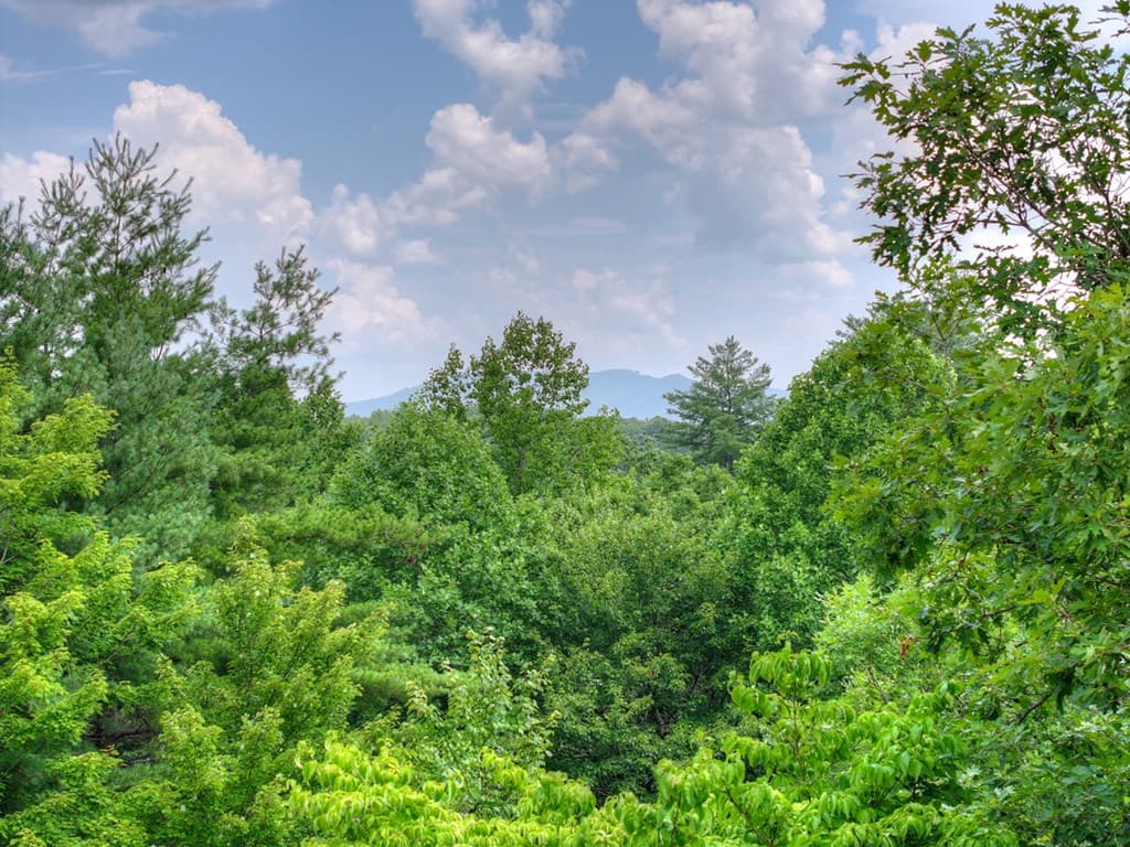 81 Cornerstone Court, Mccaysville GA 30555 - Photo