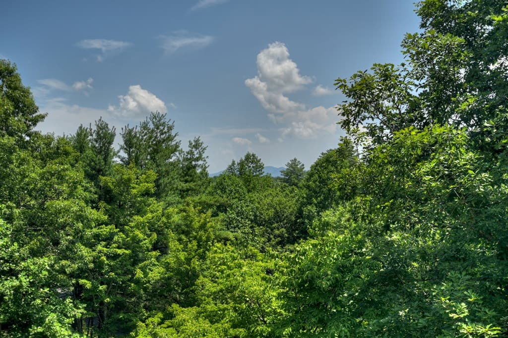 81 Cornerstone Court, Mccaysville GA 30555 - Photo