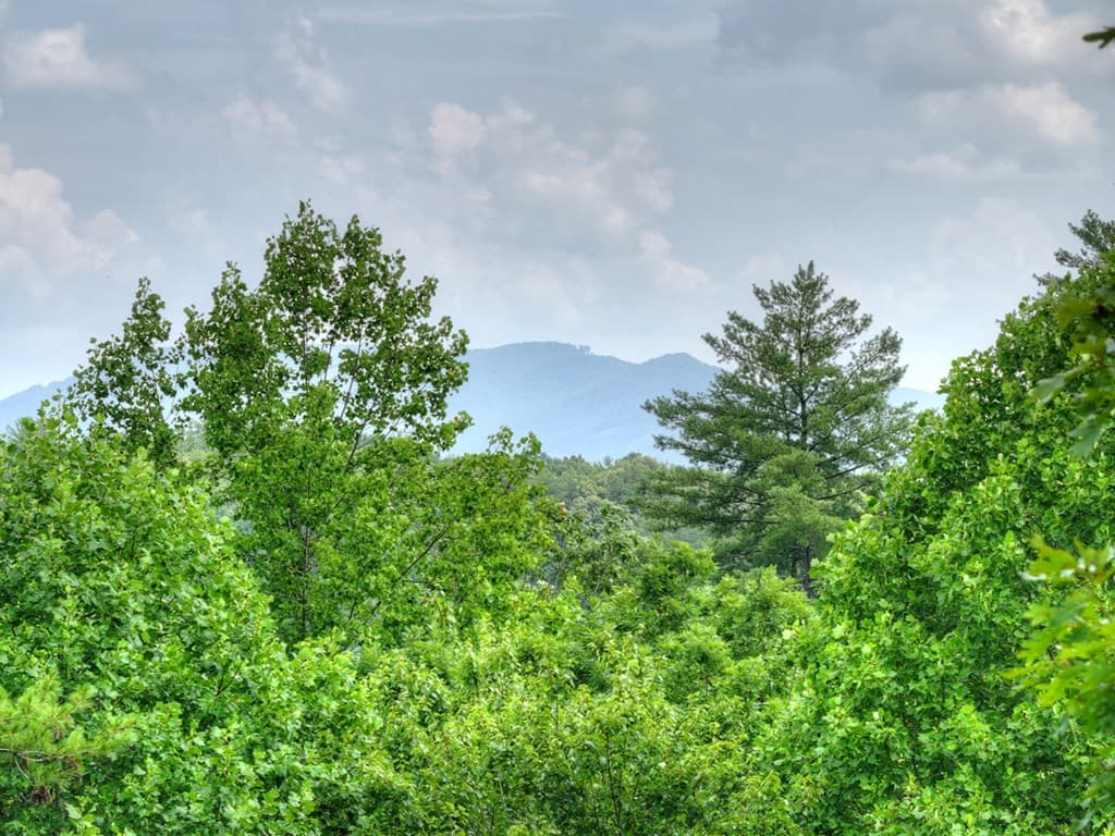 81 Cornerstone Court, Mccaysville GA 30555 - Photo