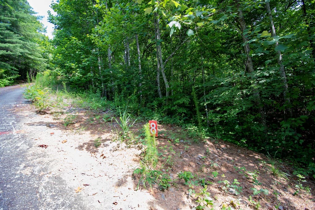 850 Bluff Road, Marble NC 28905 - Photo