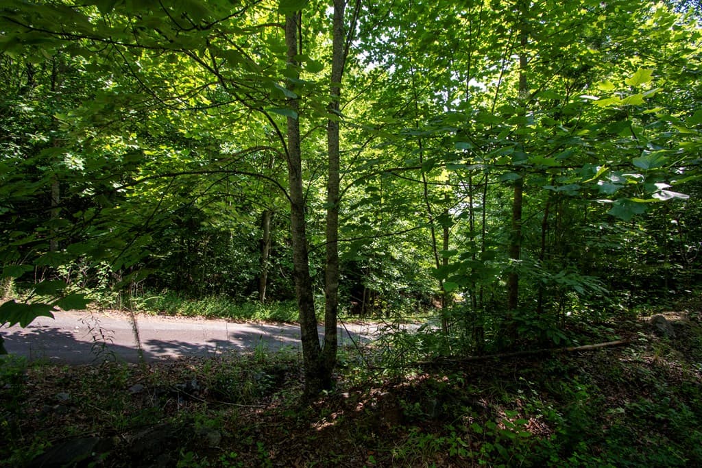 850 Bluff Road, Marble NC 28905 - Photo