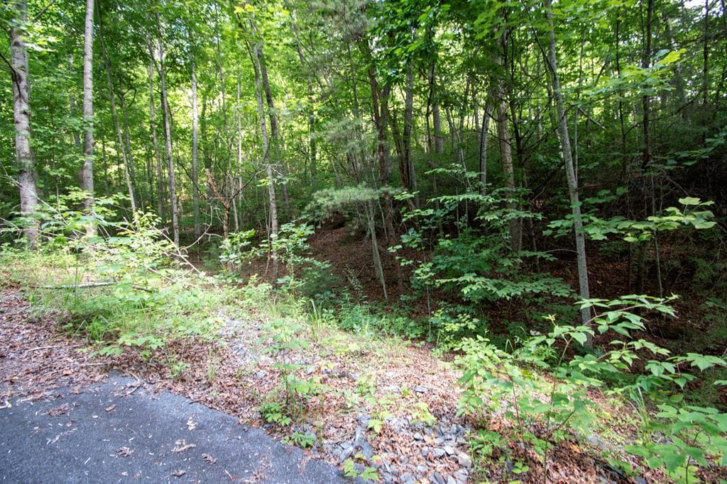 850 Bluff Road, Marble NC 28905 - Photo
