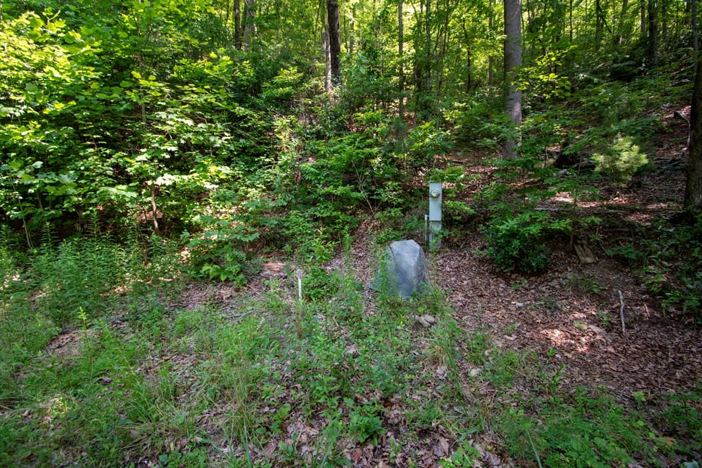 850 Bluff Road, Marble NC 28905 - Photo