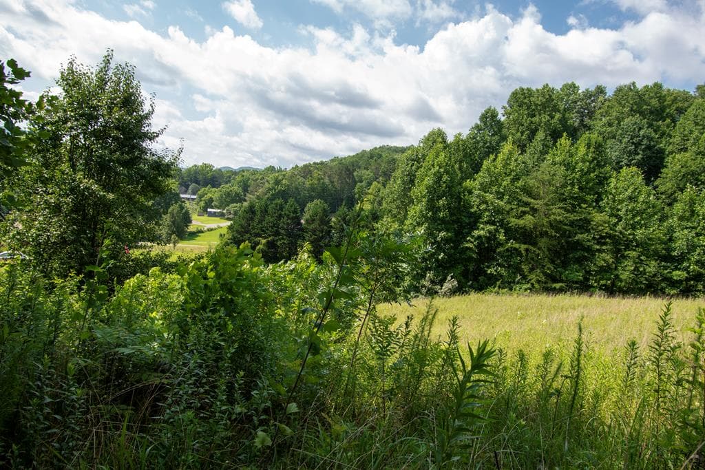 850 Bluff Road, Marble NC 28905 - Photo