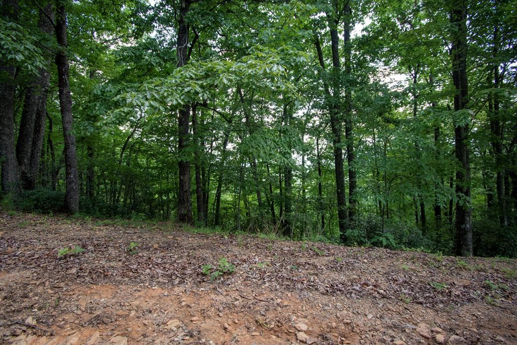 850 Bluff Road, Marble NC 28905 - Photo