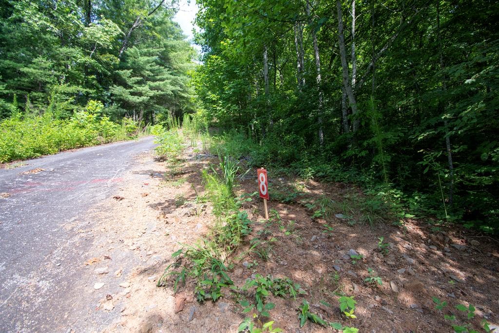 850 Bluff Road, Marble NC 28905 - Photo