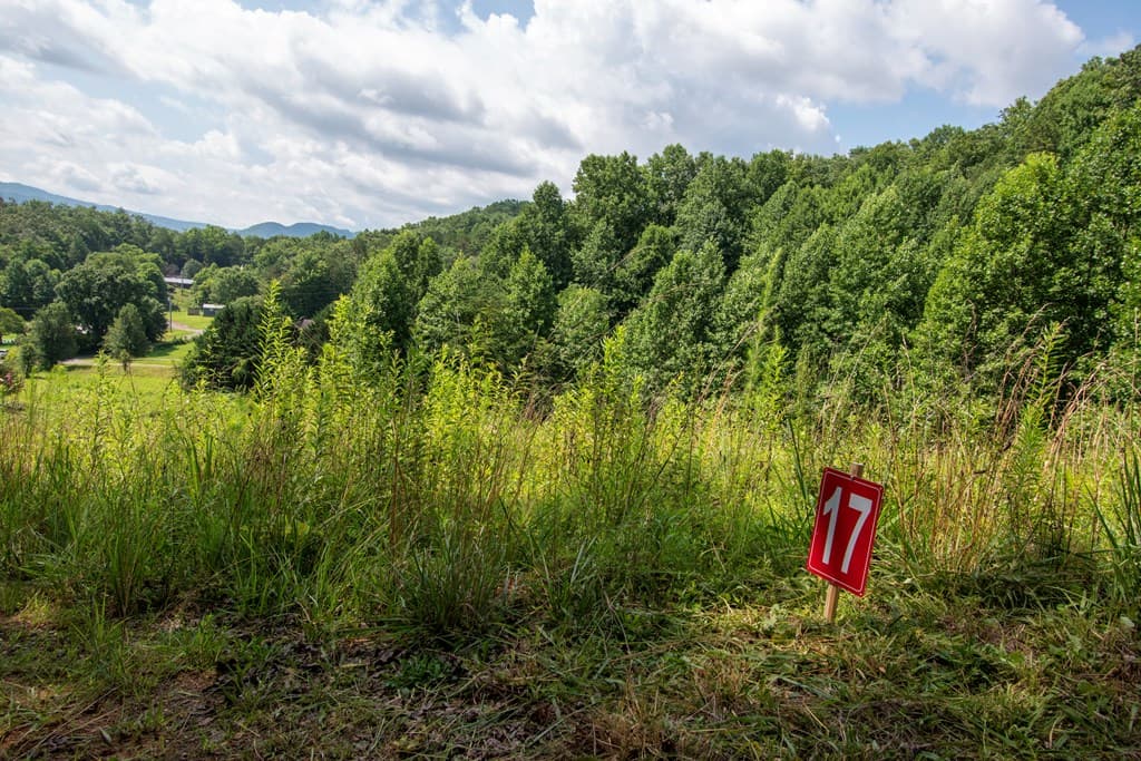 850 Bluff Road, Marble NC 28905 - Photo