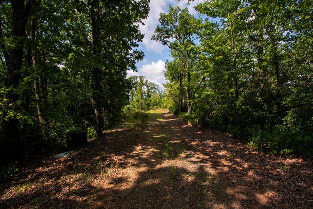 850 Bluff Road, Marble NC 28905 - Photo
