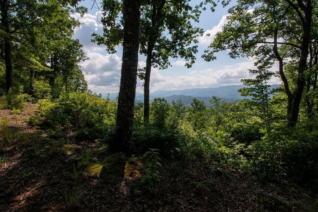 850 Bluff Road, Marble NC 28905 - Primary photo