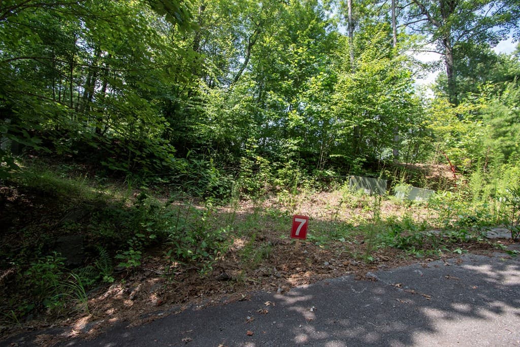 850 Bluff Road, Marble NC 28905 - Photo