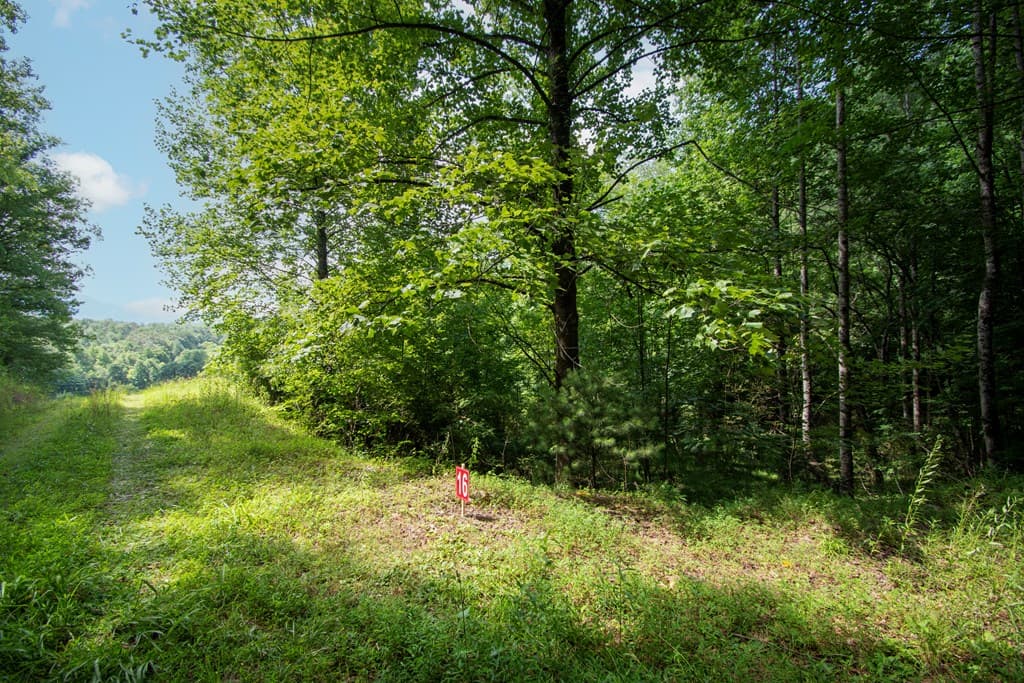 850 Bluff Road, Marble NC 28905 - Photo
