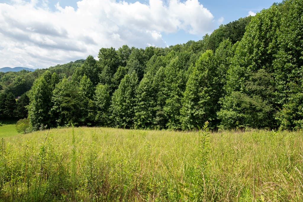 850 Bluff Road, Marble NC 28905 - Photo